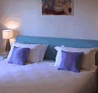 Cottesloe Garden Apartments - Lismore Accommodation