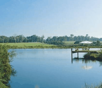 Forest Rise Eco Retreat - Lismore Accommodation