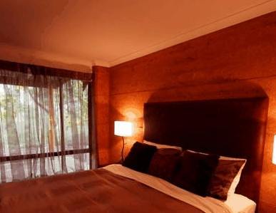Forest Rise Eco Retreat - Lismore Accommodation 1