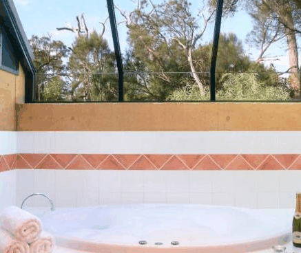 Forest Rise Eco Retreat - Lismore Accommodation 3