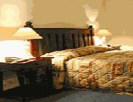 Comfort Inn Treetop Walk - Lismore Accommodation