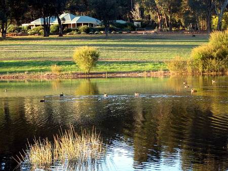 Lakeview Lodge - Lismore Accommodation 2