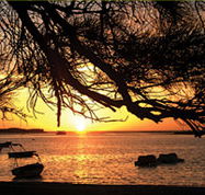 Pelican's Nest - Lismore Accommodation
