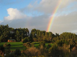 Pemberton Lavender And Berry Farm Cafe And Cottages - Lismore Accommodation 3