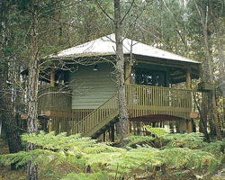 Possums Hideaway - Lismore Accommodation 0