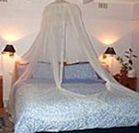 Bondi Beach Garden Sweet - Lismore Accommodation