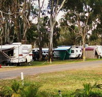 Buronga Riverside Tourist Park - Lismore Accommodation