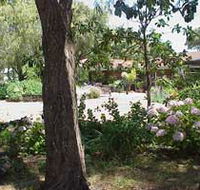 Peaceful Bay Bed and Breakfast - Lismore Accommodation