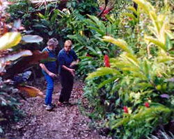 Milkwood Lodge - Lismore Accommodation 1