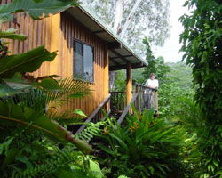 Milkwood Lodge - Lismore Accommodation 2
