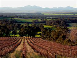 The Sleeping Lady Private Retreat - Lismore Accommodation 5