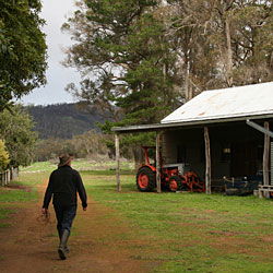 Bolganup Homestead - Lismore Accommodation 2