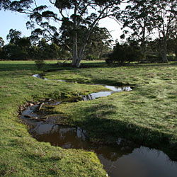 Bolganup Homestead - Lismore Accommodation 3
