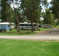 Harvey Rainbow Caravan Park - Lismore Accommodation