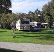 Pinjarra Caravan Park - Lismore Accommodation
