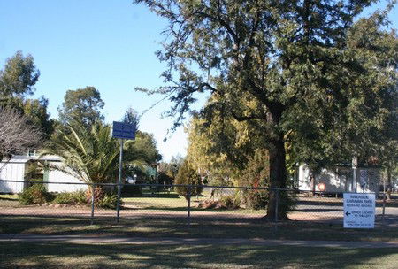 Bingara Caravan Park - Lismore Accommodation 0