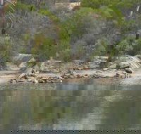 Boondi Rock Camp at Goldfields Woodlands National Park - Lismore Accommodation