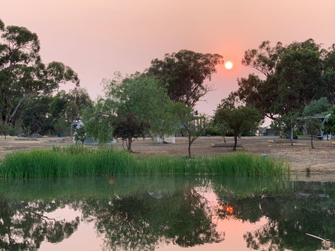 Boundary Farm - Lismore Accommodation 2