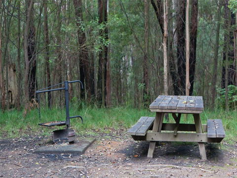 Boundary Falls Campground And Picnic Area - Lismore Accommodation 0