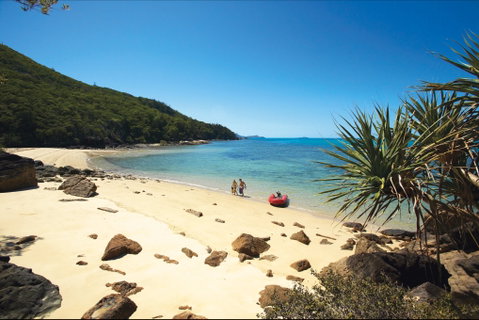 Chance Bay, Whitsunday Island - Lismore Accommodation 0
