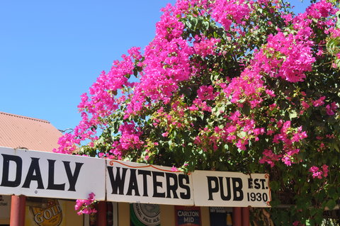 Daly Waters Historic Pub - Lismore Accommodation 0