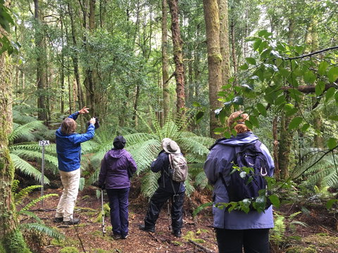 Forest Walks Lodge - Eco-Accommodation - Lismore Accommodation 1