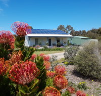 Frangipani Cottage - Lismore Accommodation