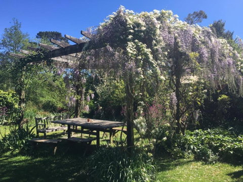 Hawthorne Cottage: Blackheath - Lismore Accommodation 2