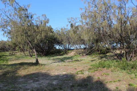 K'gari (Fraser Island) Camping, Great Sandy National Park - Lismore Accommodation 1