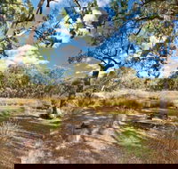 Kings Plains Creek campground - Lismore Accommodation