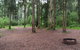 Murphys Glen Campground - thumb 0