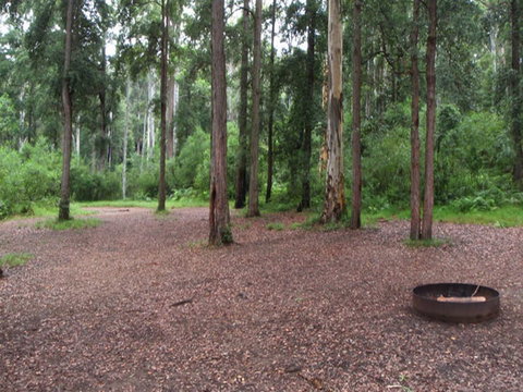 Murphys Glen Campground - Lismore Accommodation 0