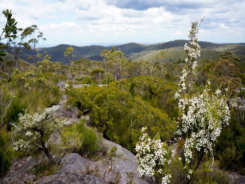 Murphys Glen Campground - Lismore Accommodation 1