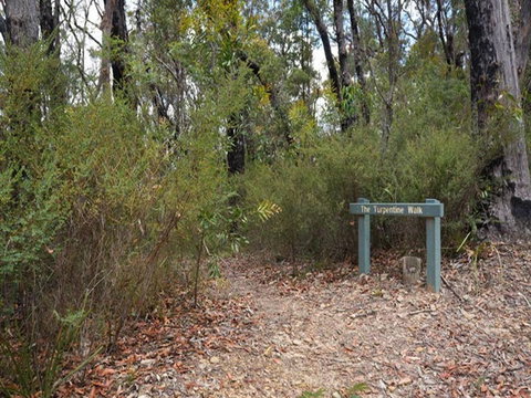 Murphys Glen Campground - Lismore Accommodation 2