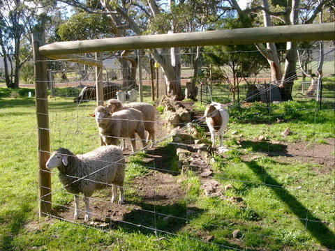 Nyroca Campsite & Group Accommodation - Lismore Accommodation 2