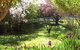 Sofala Cottage - thumb 0