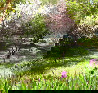 Sofala Cottage - Lismore Accommodation