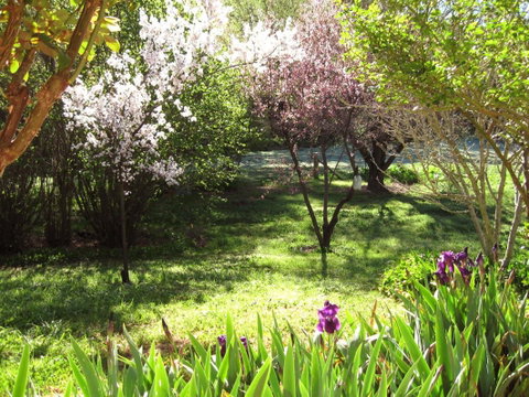 Sofala Cottage - Lismore Accommodation 0