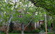 The Stone Cottage Beechworth - thumb 1