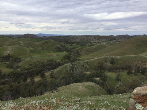 Three Creeks - Lismore Accommodation 0