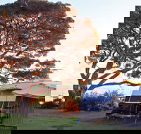 WhiteCliffs to Camerons Bight Foreshore Reserve - Lismore Accommodation