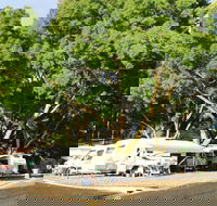 Williamstown Queen Victoria Jubilee Park - Lismore Accommodation