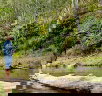 Bass Lodge - Lismore Accommodation