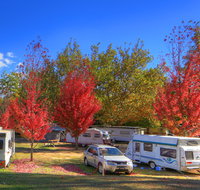 Beechworth Lake Sambell Caravan Park - Lismore Accommodation