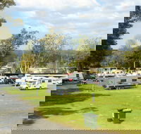 Berry Showground Camping - Lismore Accommodation