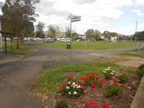 Berry Showground Camping - Lismore Accommodation 1