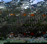 Billabong Retreat - Lismore Accommodation