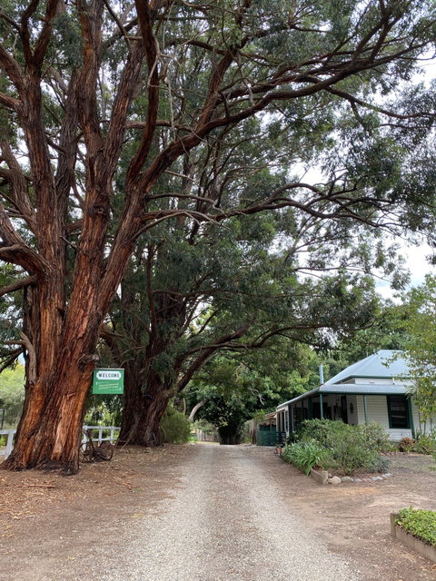 Fernleigh Accommodation - Lismore Accommodation 0