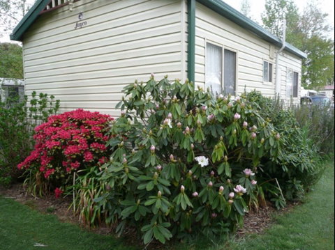 Jenolan Caravan Park - Lismore Accommodation 0