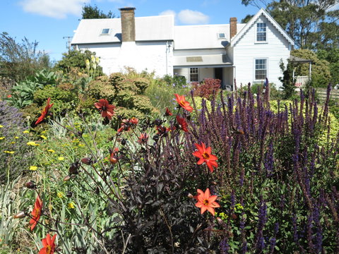 Robin Hood's Well Farm Stay - Lismore Accommodation 2